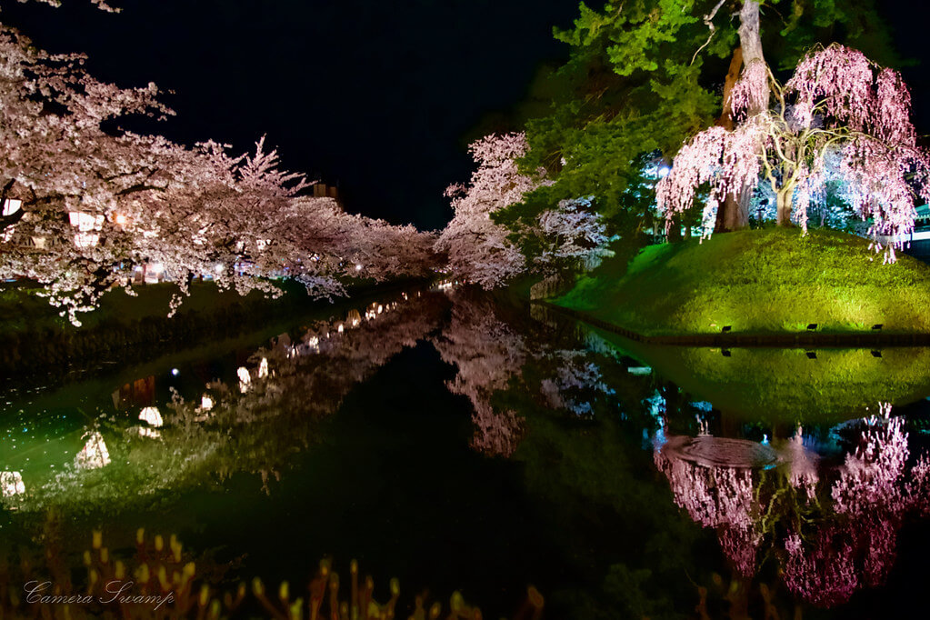 弘前城(弘前公園)の夜桜