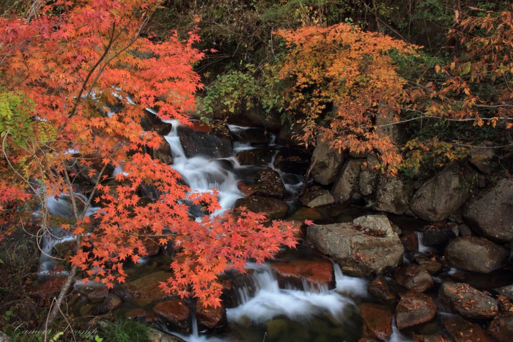 広島安芸太田町の紅葉　深山峡の滝