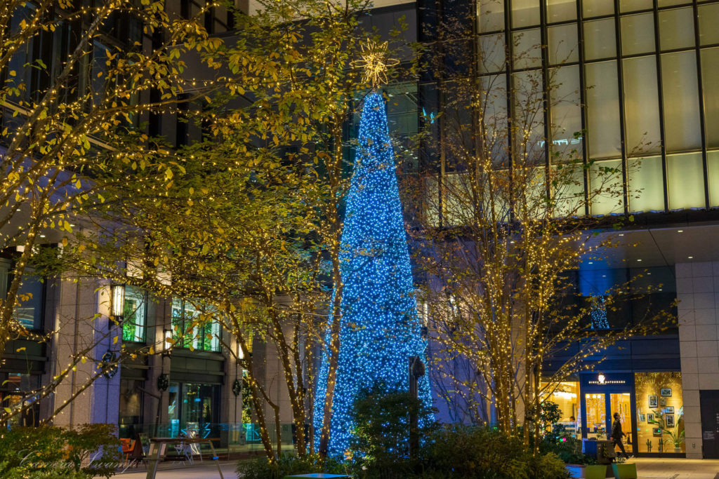 京橋中央ひろば（京橋エドグラン1階中央通り側広場）のクリスマスツリー